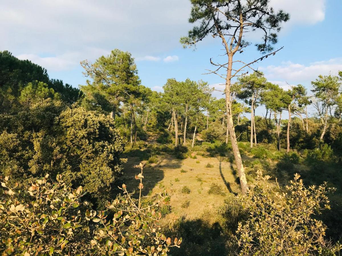 Apartment Du Golf, Standing, Piscine, Foret Et Ocean